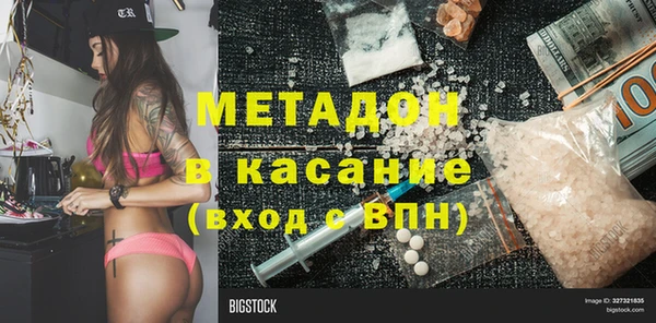 индика Алексин