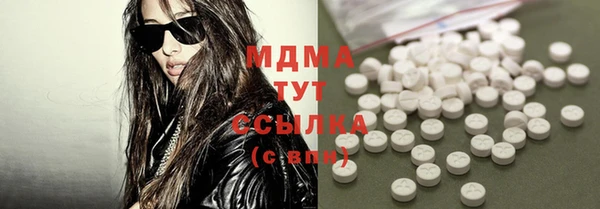 индика Алексин