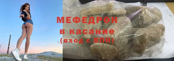индика Алексин