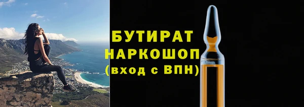 индика Алексин