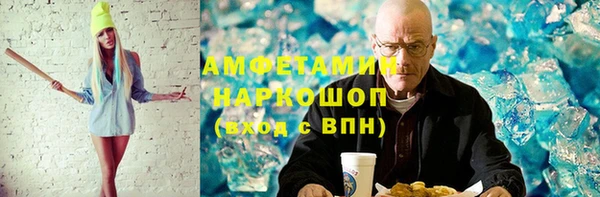 индика Алексин