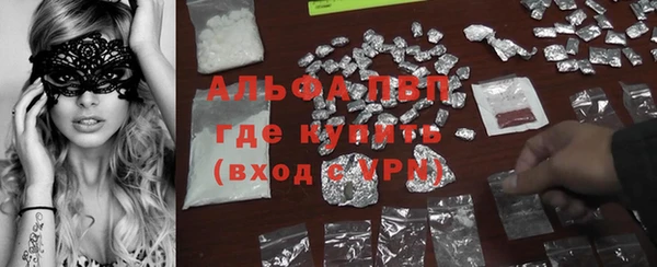индика Алексин